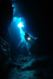 Mauritian Scuba Diving Association