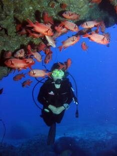 Sun Divers Ile maurice