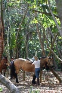 La Vieille Cheminee Ile Maurice