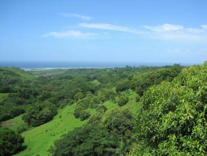 Frdrica Reserve Naturelle, Ile Maurice