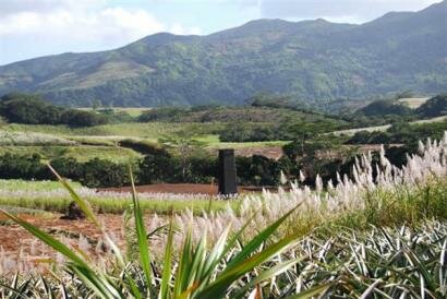 La Vieille Cheminee Ile Maurice