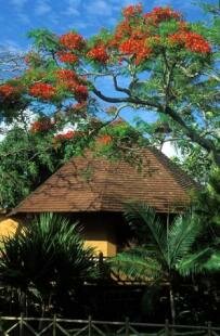 Beau Vallon Guest house, Mauritius