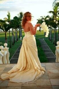 Professional Wedding Photographer