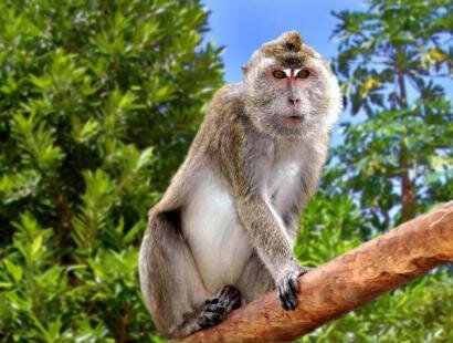 La Vanille Rserve des Mascareignes, Mauritius
