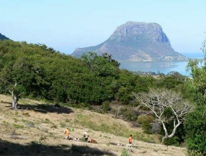 Le Chasseur Mauricien