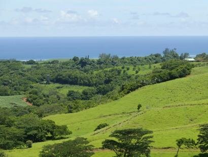Frdrica Reserve Naturelle, Ile Maurice