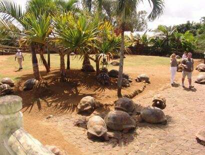 La Vanille Rserve des Mascareignes, Mauritius