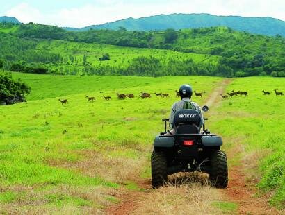 Frdrica Reserve Naturelle, Ile Maurice