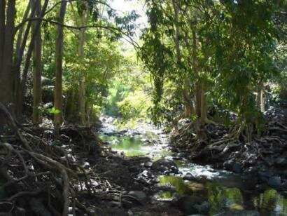 Yemaya Adventures Mauritius
