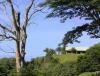 Frdrica Reserve Naturelle, Ile Maurice