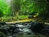 Frdrica Reserve Naturelle, Ile Maurice