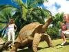 La Vanille R�serve des Mascareignes, Mauritius