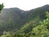Le Chasseur Mauricien