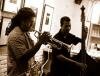 Musiciens au Meltin' Potes Meltin' Potes