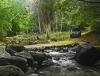 Frdrica Reserve Naturelle, Ile Maurice