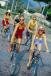 Bicycle tours Sugar Beach, Mauritius