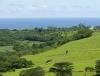 Frdrica Reserve Naturelle, Ile Maurice