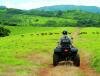 Frdrica Reserve Naturelle, Ile Maurice