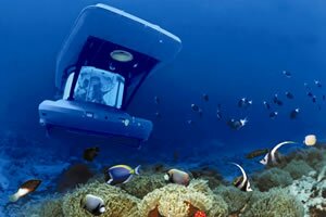 Sous Marin Blue Safari