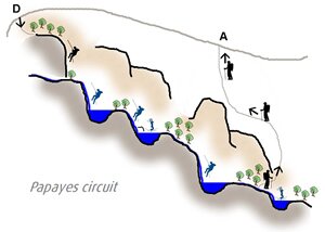 Canyoning - Half Day Canyoning - Half Day