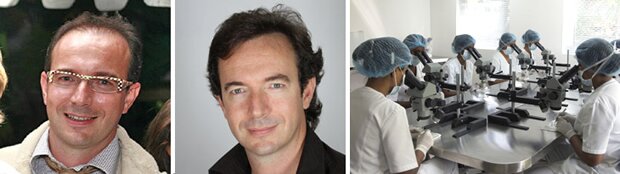 Before and After Hair Transplant in Mauritius
