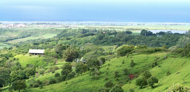 Scenery at Frédérica Réserve Naturelle in Mauritius