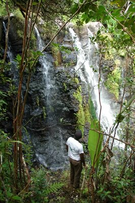 Hiking at Domaine des 7 Vallées in Mauritius