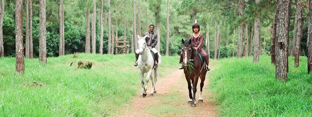 Horse riding at Domaine des 7 Vallées in Mauritius
