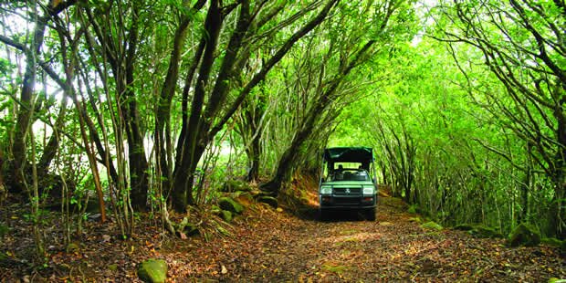 Frédérica Reserve Naturelle 4x4 in Mauritius