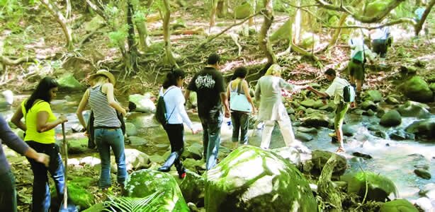 Trekking, Frédérica Reserve Naturelle in Mauritius