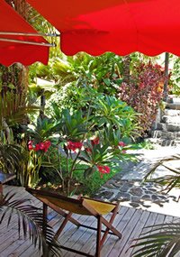 Bungalow L'Oiseau du Paradis