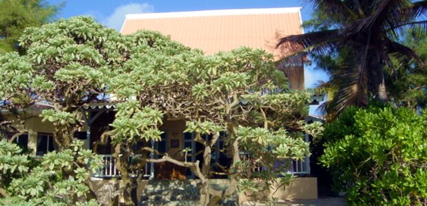 Villa L'Oiseau du Paradis Guest House