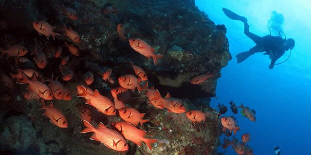 Sun Divers Ltee - Diving Centre
